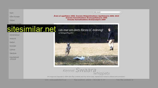 swaara.se alternative sites