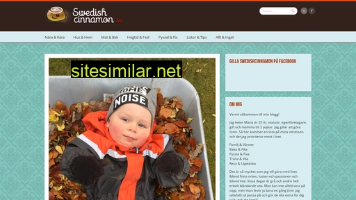 swedishcinnamon.se alternative sites