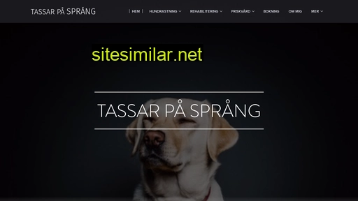 tassarpasprang.se alternative sites