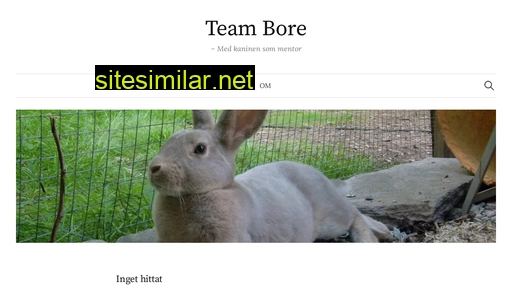 teambore.se alternative sites