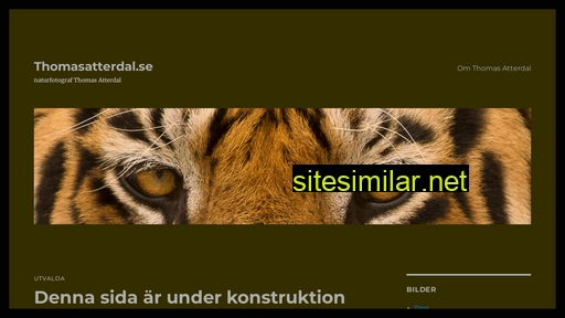 thomasatterdal.se alternative sites
