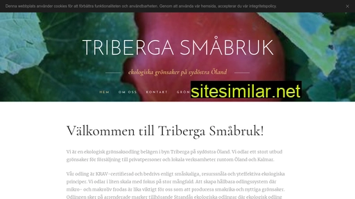 tribergasmabruk.se alternative sites