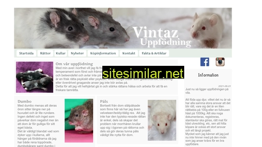 vintaz.se alternative sites