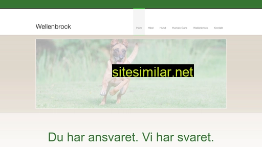 wellenbrock.se alternative sites