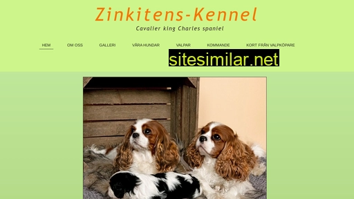 zinkitens-kennel.se alternative sites
