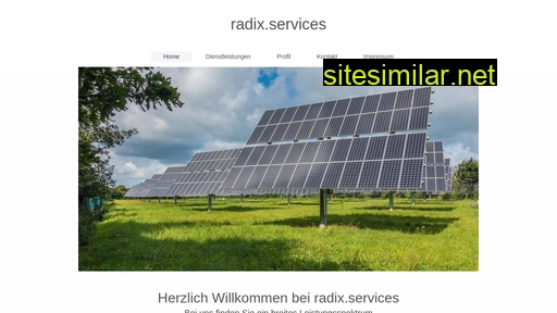 radix.services alternative sites