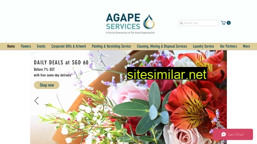 agapeservices.com.sg alternative sites