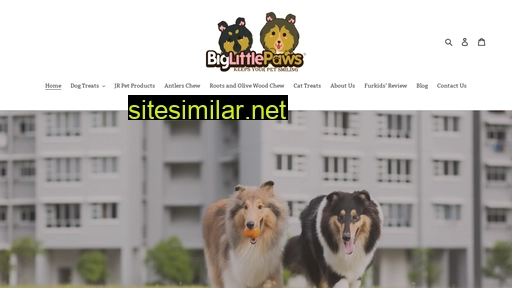 biglittlepaws.sg alternative sites