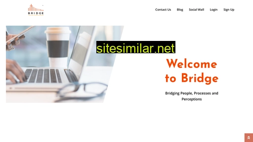 bridge.com.sg alternative sites