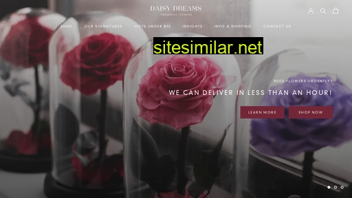 daisydreams.com.sg alternative sites