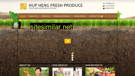 huphengfresh.com.sg alternative sites