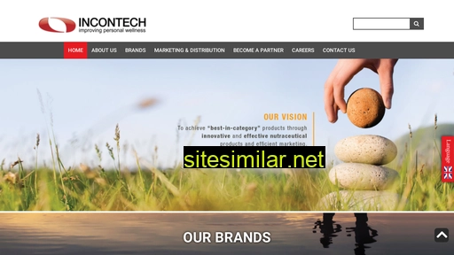 incontech.com.sg alternative sites