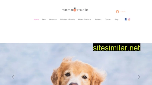 momostudio.sg alternative sites