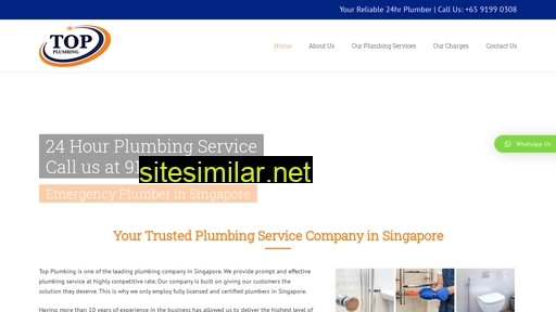 topplumbing.sg alternative sites