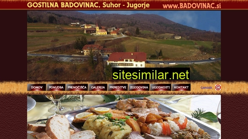 badovinac.si alternative sites