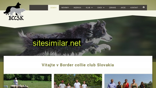 bccsk.sk alternative sites