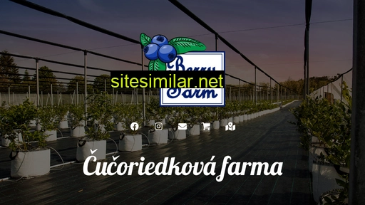 berryfarm.sk alternative sites