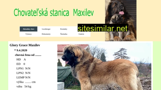 maxilev.sk alternative sites