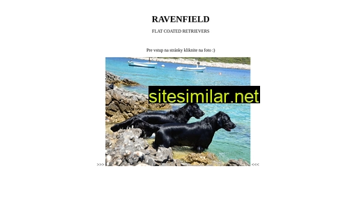 ravenfield.sk alternative sites