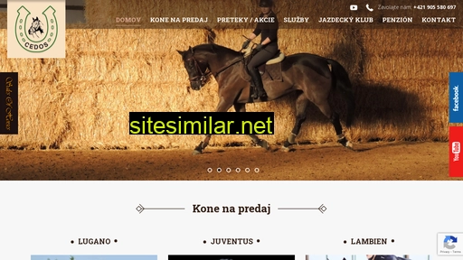 stajnacedos.sk alternative sites