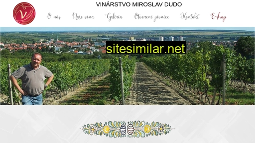 vinodudo.sk alternative sites