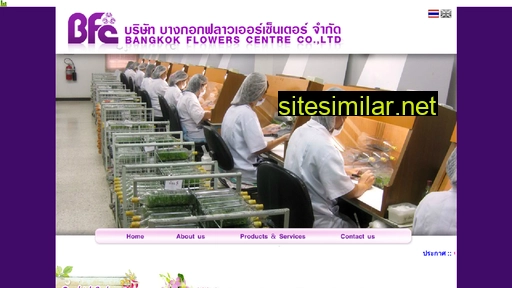 bangkokflowerscentre.co.th alternative sites