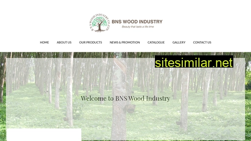 bnswood.co.th alternative sites