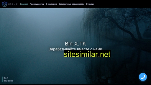 bin-x.tk alternative sites
