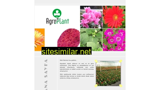 agroplant.com.tr alternative sites