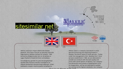 akkilic.com.tr alternative sites