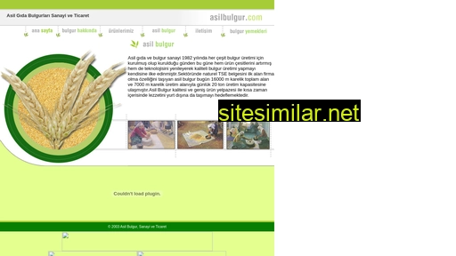 asilbulgur.com.tr alternative sites