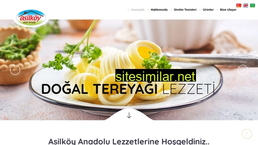 asilkoy.com.tr alternative sites