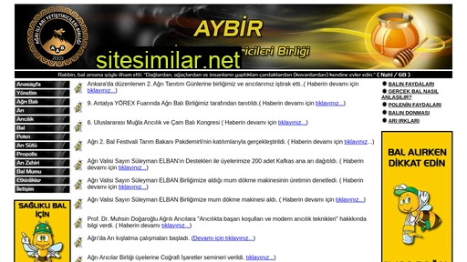 aybir.org.tr alternative sites
