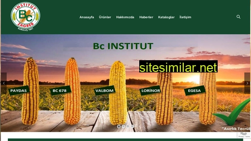 bc-institut.com.tr alternative sites
