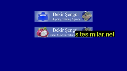 bekirsengul.com.tr alternative sites