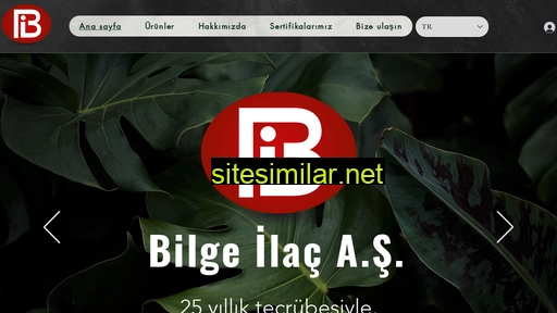 bilgeilac.com.tr alternative sites