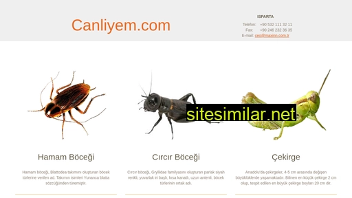 canliyem.com.tr alternative sites