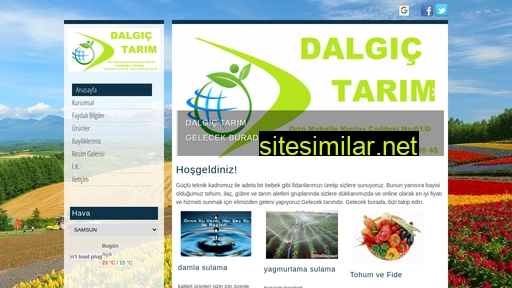 Dalgictarim similar sites