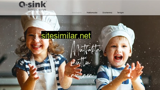 en.q-sink.com.tr alternative sites