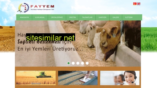 fayyem.com.tr alternative sites