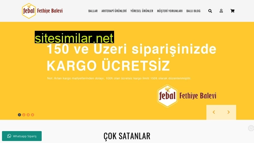 fethiyebalevi.com.tr alternative sites