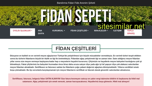 fidansepeti.com.tr alternative sites
