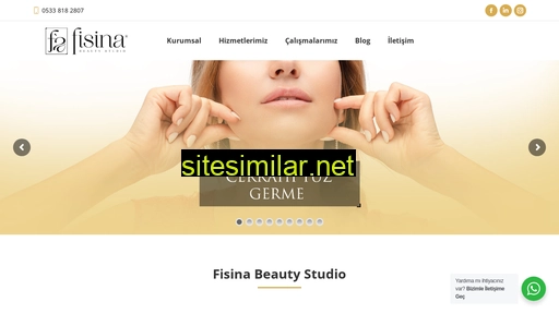fisina.com.tr alternative sites