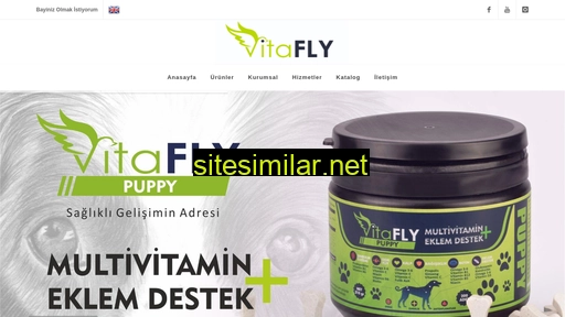 flyvet.com.tr alternative sites