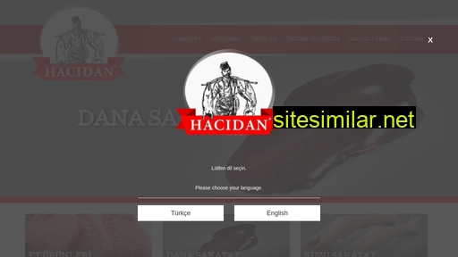 hacidan.com.tr alternative sites
