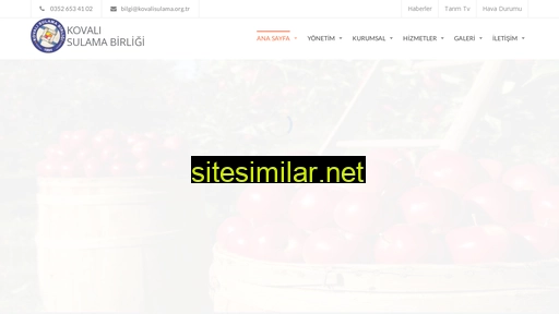 kovalisulama.org.tr alternative sites