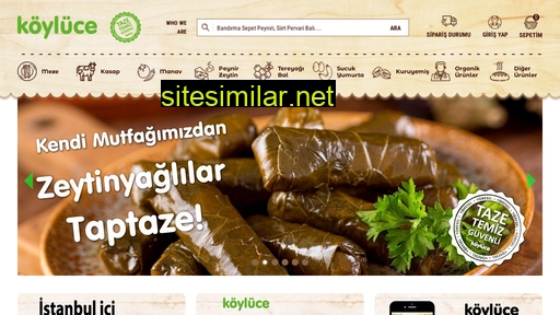 koyluce.com.tr alternative sites