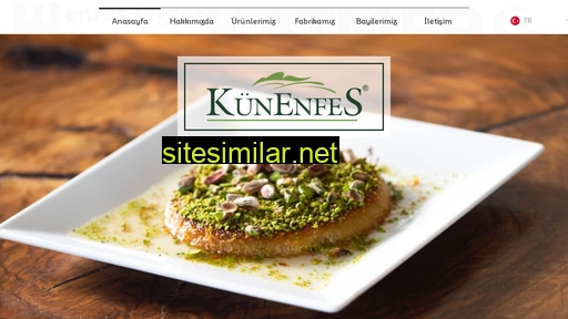 kunenfes.com.tr alternative sites