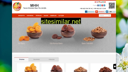 mhhdriedfruits.com.tr alternative sites