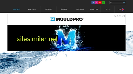 Mouldpro similar sites